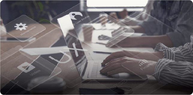 Optimize my web presence